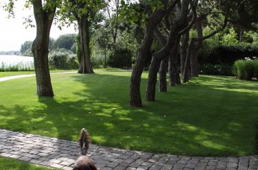 Landelijke tuin Barendrecht - Antwan Tuin Totaal