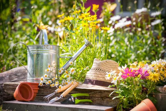 tuintips mei